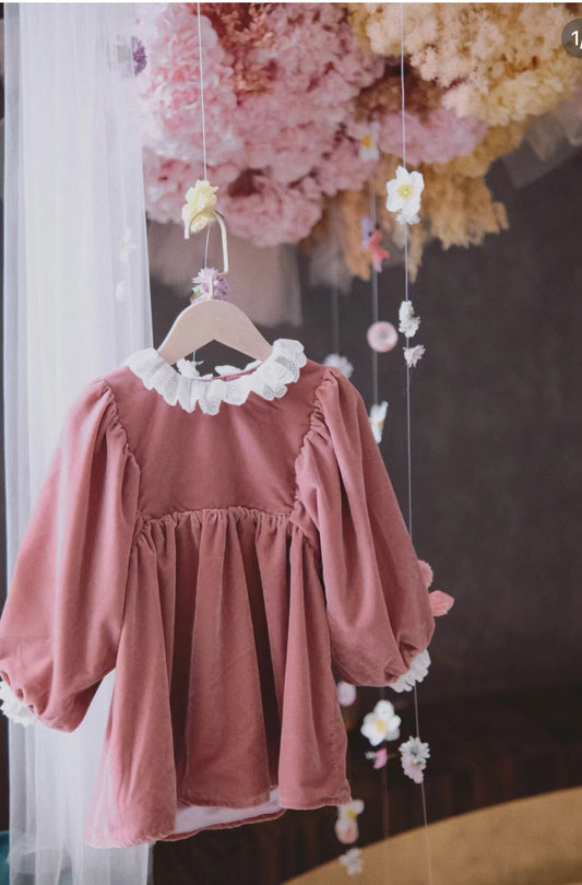 Pink Velvet Princess Dress