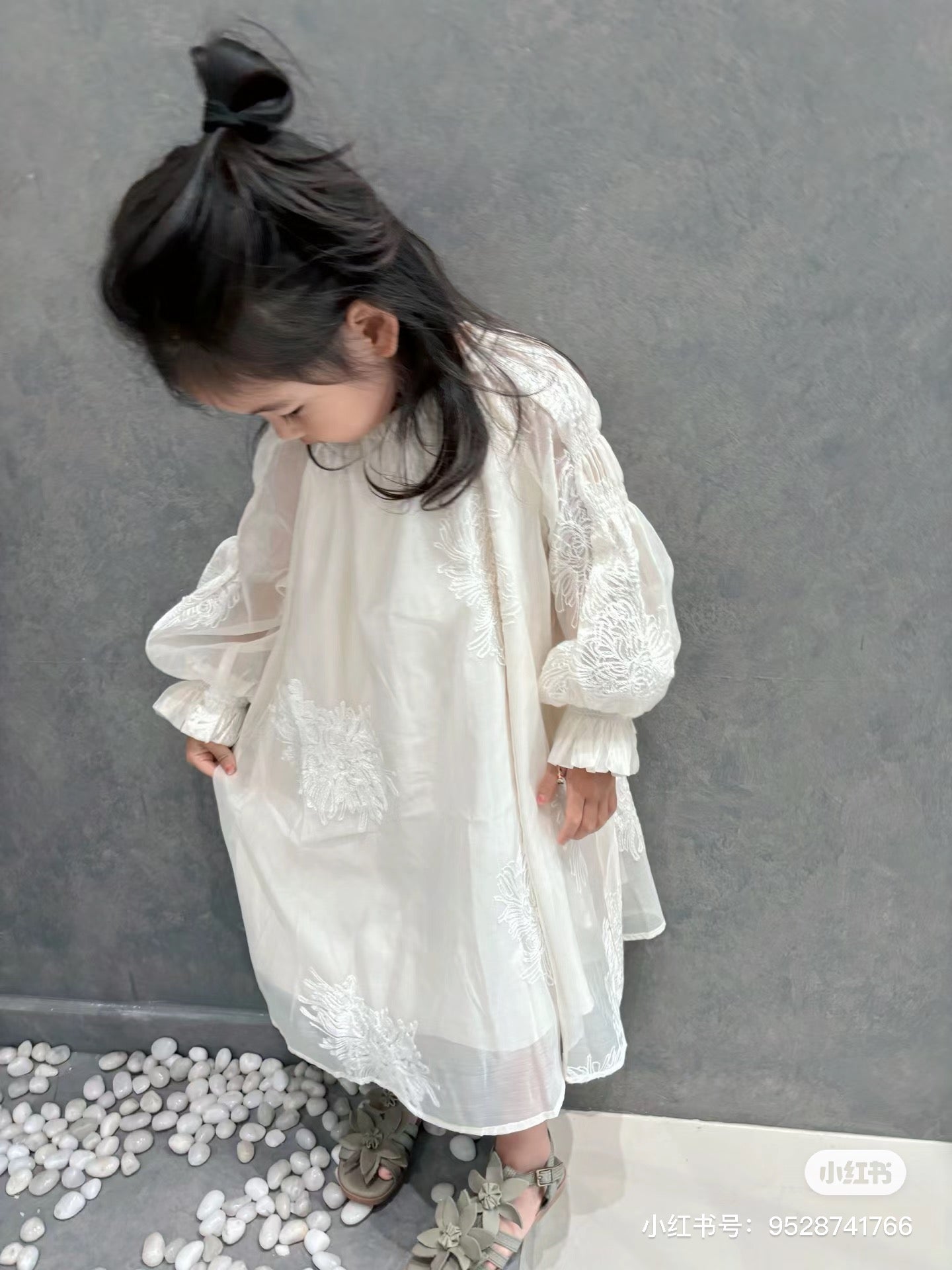 Chiffon Embroidery Princess Long Dress