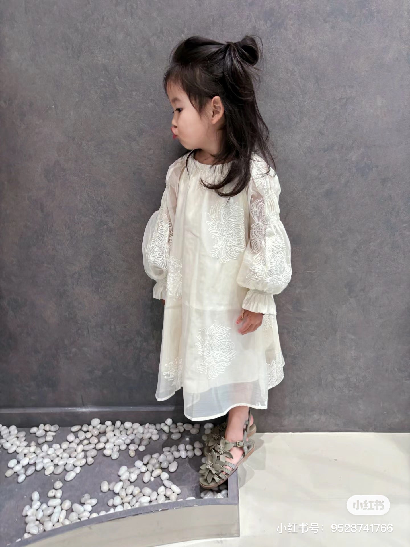 Chiffon Embroidery Princess Long Dress